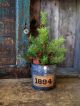 Large Papier Mache Belsnickle Santa Mustard Milk Paint Primitives photo 7