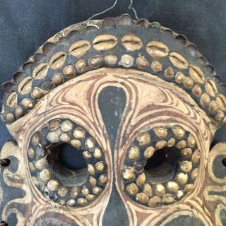 Guinea Carved Painted Wood Mask W Cowrie Shells Plant Fiber Sepik Spirit Old photo