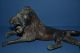 Antique Early 20th Century African Bronze Benin Tribal Lion,  C 1920 Other African Antiques photo 8