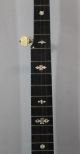 Antique Early - 20thc Mop Inlaid,  Washburn 5 - String Carved Neck Banjo,  Nr String photo 3