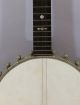 Antique Early - 20thc Mop Inlaid,  Washburn 5 - String Carved Neck Banjo,  Nr String photo 4