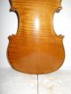 Old Antique Vintage 1 Pc Curly Maple Back Full Size Violin - String photo 2