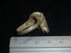 Roman Ancient Artifact - Silver Horse Head Ring Circa 200 - 400 Ad - 3215 Other Antiquities photo 11