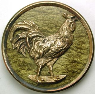 Lg Sz Antique Brass Button Detailed Rooster Over Celluloid Liner 1 & 9/16 