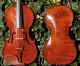 Fine Antique Czech Violin By Willy Kostler,  Graslitz.  Outstanding Build & Tone String photo 1