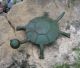 Green Metal Turtle Primitive/french Country Whimsical Garden Patio Yard Decor Primitives photo 1