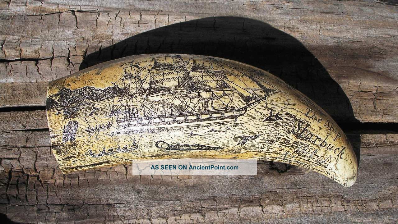 Scrimshaw Replica Resin Sperm Whale Tooth The Ship Starbuck Of Bedford Scrimshaws photo