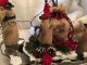 Primitive Christmas Sleigh & Reindeer With Christmas Mice Trio Village Scene Primitives photo 5
