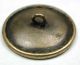 Antique Brass Cup Button Detailed Lizard Escutcheon W/ Etched Accents - 1 