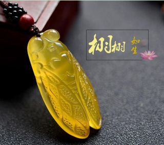 The Unique Natural Yellow Agate Chalcedony Hand - Carved Cicada Pendant Necklace photo