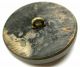 Lg Sz Antique Horn Button Detailed Lovely Woman In Profile - 1 & 1/4 