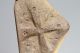 Anglo Saxon Period Bone Hairpin With Decorated Cross And Rune 700 - 800 Ad Vf, British photo 4