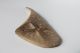 Anglo Saxon Period Bone Hairpin With Decorated Cross And Rune 700 - 800 Ad Vf, British photo 7