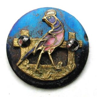 Antique Button Enameled Brass Pheasant On Blue Tint Steel Disc Cut Steel; - Ks photo