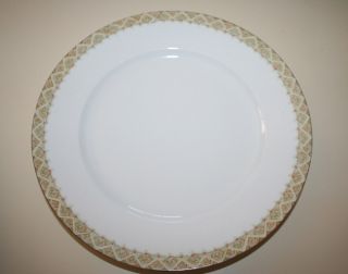 Antique Rare Pattern Dinner Plate Mz Austria Circa 1890 ' S White Gold Trim 9 1/2 