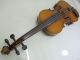 1920s Feine 4/4 Hi Geige Violine Masakichi Suzuki No7 Mij Japan Antique String photo 2