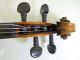 1920s Feine 4/4 Hi Geige Violine Masakichi Suzuki No7 Mij Japan Antique String photo 6