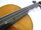 1920s Feine 4/4 Hi Geige Violine Masakichi Suzuki No7 Mij Japan Antique String photo 7