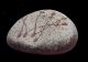Old Aboriginal Painted Spirit Stone - Northern Australia Pacific Islands & Oceania photo 1