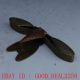 Oriental Vintage Copper Handwork Carved Cicada Collectable Snuff Box Nr Pretty Other Chinese Antiques photo 3