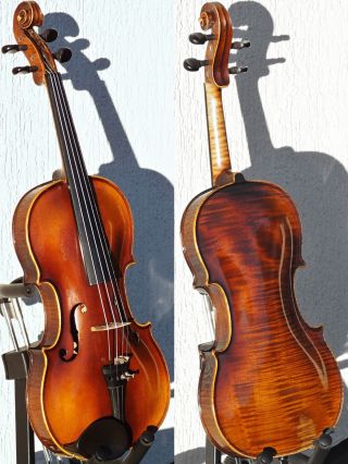 Fine Vintage Czech Violin By Ladislav F.  Prokop,  Chrudim,  1935.  Exquisite Tone photo