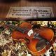 Fine Vintage Czech Violin By Ladislav F.  Prokop,  Chrudim,  1935.  Exquisite Tone String photo 3