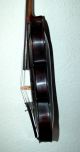 Fine Antique German 4/4 Violin - Stainer Mold - 1900 ' S String photo 2