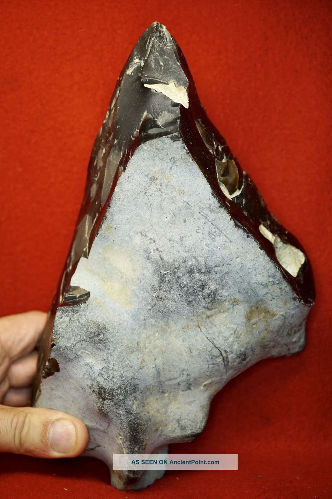 Lower Paleolithic,  Giant 27cm Two Handed Acheulian Pointed Axe Neolithic & Paleolithic photo