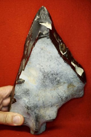Lower Paleolithic,  Giant 27cm Two Handed Acheulian Pointed Axe photo