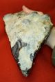 Lower Paleolithic,  Giant 27cm Two Handed Acheulian Pointed Axe Neolithic & Paleolithic photo 2