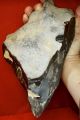 Lower Paleolithic,  Giant 27cm Two Handed Acheulian Pointed Axe Neolithic & Paleolithic photo 3