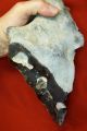 Lower Paleolithic,  Giant 27cm Two Handed Acheulian Pointed Axe Neolithic & Paleolithic photo 6