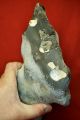 Lower Paleolithic,  Giant 27cm Two Handed Acheulian Pointed Axe Neolithic & Paleolithic photo 7
