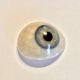 Antique Prosthetic Glass Eye - Box - Mager & Gougelman Optical photo 3