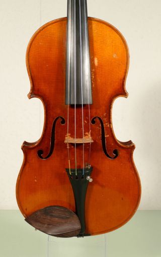 German Violin By Braun & Hauser,  Fine Craftmanship photo
