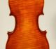 German Violin By Braun & Hauser,  Fine Craftmanship String photo 3