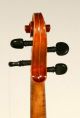 German Violin By Braun & Hauser,  Fine Craftmanship String photo 5
