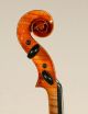 German Violin By Braun & Hauser,  Fine Craftmanship String photo 6