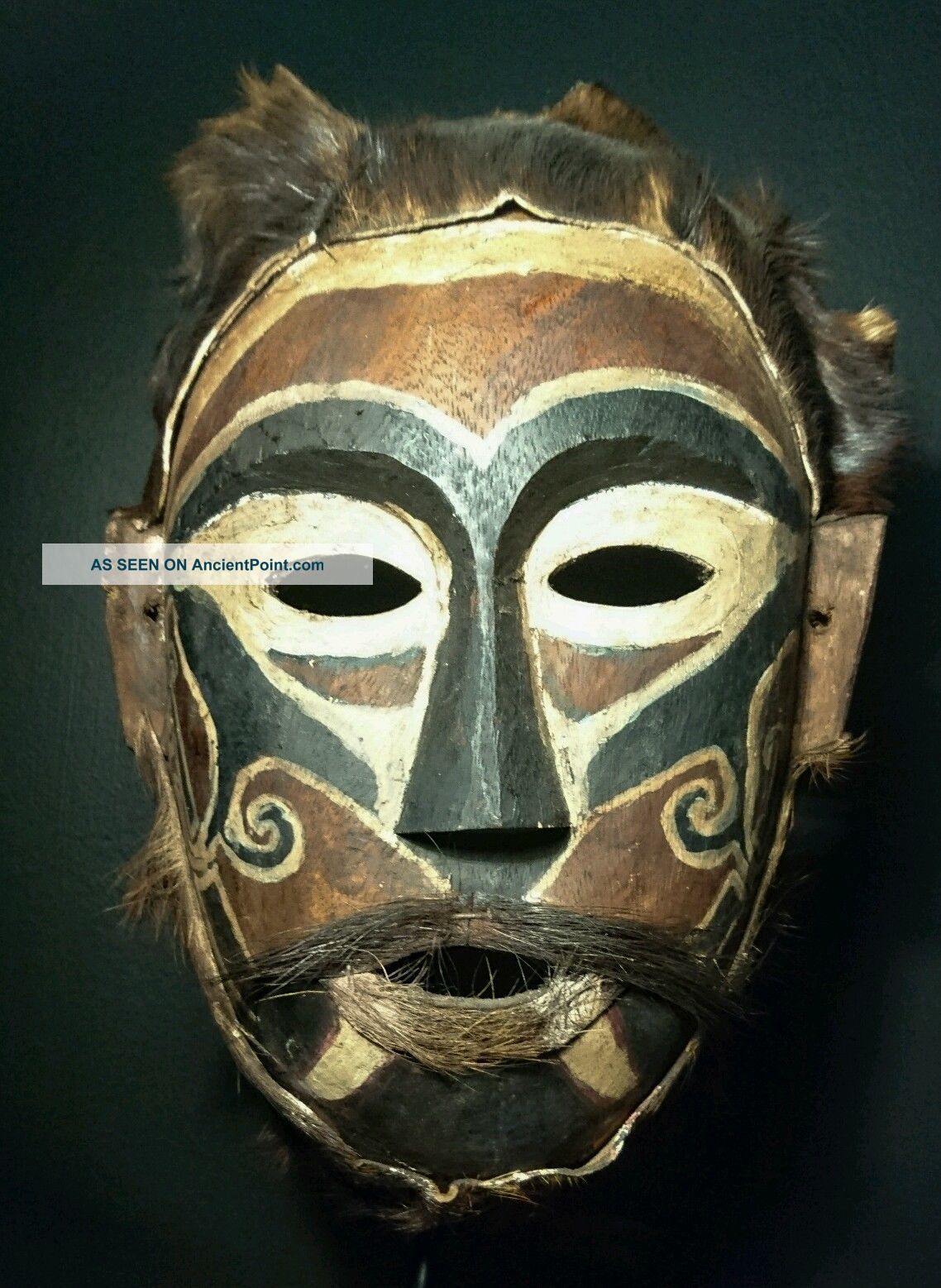 Dayak Ritual Mask.  Museum Quality Pacific Islands & Oceania photo