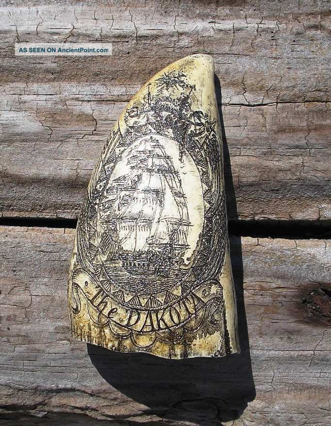 Scrimshaw Replica Resin Whale Tooth 