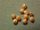 Ten Roman Gold Beads Circa 100 - 400 Ad (10) Roman photo 2