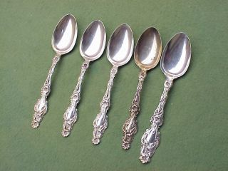 5 Whiting Lily Sterling Silver Spoons Old Marks Pat.  1902 R ' D 1902 No Monograms photo