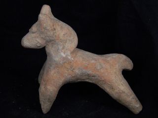 Ancient Teracotta Horse Indus Valley 800 Bc Tr15355 photo