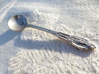 Really Gorgeous Vintage Wallace Sterling Salt Spoon Detail photo