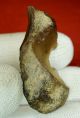 Upper Paleolithic,  Wilczyce Style Venus Plaquette On A Flint Flake Neolithic & Paleolithic photo 5