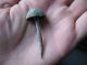 Ancient Celtic Bronze Spike Nail 800 - 600 Bc.  48 Mm Celtic photo 7