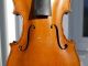 French Violin By Collin - Mezin,  No Cracks String photo 4