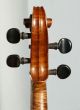 French Violin By Collin - Mezin,  No Cracks String photo 6