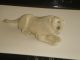 Rare Asian Antique Victorian/edwardian Carved Bovine Bone Lion Other Chinese Antiques photo 5