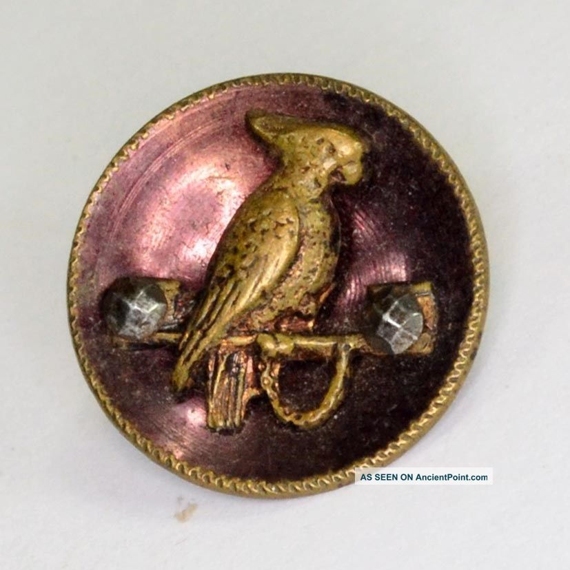 Sewing Button Picture Bird Brass Mop Parrot Cockatiel Facet Antique Buttons photo